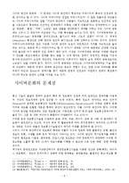 사이버 문화와 기독교 - 사이버 문화에 대해서-6