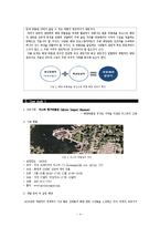 해양 박물관에 관해서-4