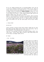 활력 있고 살기 좋은 농촌 만들기 전략-8