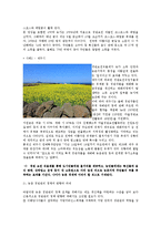 활력 있고 살기 좋은 농촌 만들기 전략-9