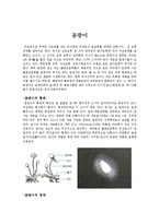 곰팡이에 대해서-1