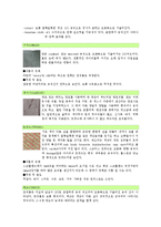 섬유소재 - 직물의 삼원조직에 대해서-7