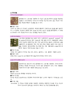 섬유소재 - 직물의 삼원조직에 대해서-11