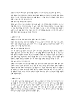 [보육학개론] 현재 우리나라 실정에 맞는 보육과 교육정책-19