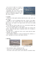 토지 재생 개념으로 탄생한 공원 사례 조사-3