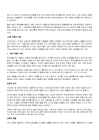[다문화복지] 다문화 가정과 복지대책-4