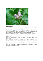 농산식품가공학 - 레몬에 관하여-4
