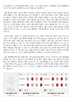 인류학 - 인류의 다양성을 연구-4