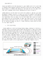인류학 - 인류의 다양성을 연구-5