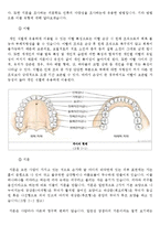 인류학 - 인류의 다양성을 연구-7
