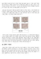 인류학 - 인류의 다양성을 연구-8