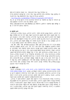 [광고론] 광고크리에이티브 소구, 전략 조사-6