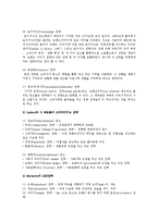 [광고론] 광고크리에이티브 소구, 전략 조사-9