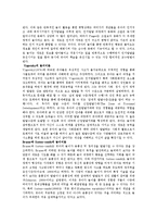 놀이지도 - Piaget[피아제]가 제시하는 연습놀이, 상징놀이, 규칙 있는 게임의 놀이단계를 제시하고, 각 놀이의 발달과정을 소개-5
