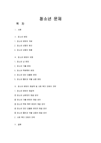[청소년복지론] 청소년 문제에 대해서-1