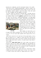 중국 충칭의 가능성에 대해서-3
