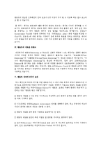 [인사관리] 멘토링 제도의 효과적 운영방안-4