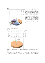 아동 성폭력에 대하여-6