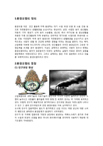 [인간과환경] 환경오염의 정의, 등장, 실태 및 대처 방안에 대해서-2