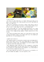 유아들을 관찰하면서 놀이가 확정될수 있도록 지원하는 만 3세 유아의 흥미영역을 구성-5