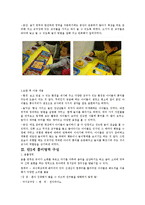유아들을 관찰하면서 놀이가 확정될수 있도록 지원하는 만 3세 유아의 흥미영역을 구성-8