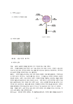 스포츠 - 배드민턴 경기 규칙에 대해서-8