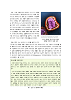 신종플루에 대해서-3