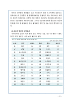 의료민영화 정의, 장단점 분석, 해외 민영화 사례 분석, 나아갈 방향 정책 제시-12