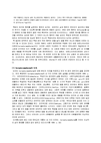 종교 - 불교와 비교한 힌두인들의 삶을 바라보는 철학 신화와 종교-2