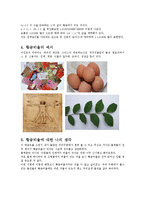 황금비율에 대해서-3