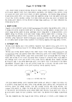 Piaget[피아제]의 인지발달 이론-1