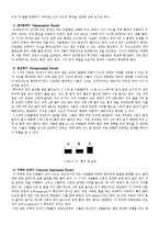 Piaget[피아제]의 인지발달 이론-4