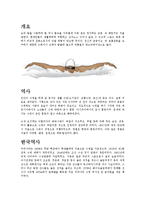 [스포츠] 수영영법에 대해서-2