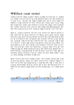 [스포츠] 수영영법에 대해서-6