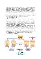 [심리] 안철수의 기업가 정신과 리더쉽-6