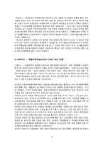 [회계정보시스템]샤베인즈 옥슬리법-2