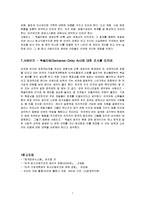 [회계정보시스템]샤베인즈 옥슬리법-7