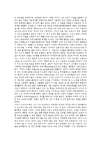 미학의 이해 - 예술 모방론의 제 유형-15
