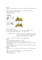 생활과원예 - 실내 정원 꾸미기-10