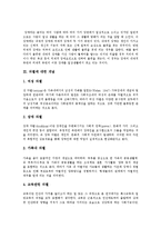 장애와 차별의 개념, 장애인 인권보장의 원리, 장애인 고용차별과 임금차별, 차별금지규제의 문제점, 향후 장애인차별 예방을 위한 과제 분석-3
