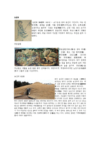 테마로본 한국사에 대해서-4