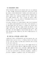 [장애인복지] 장애인복지 정책과 문제점-10