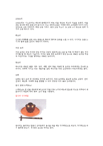 일본문화의 이해 - 일본음식 문화에 대해서-5