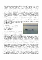 국내외에 발생한 환경오염-4