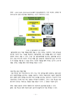 다재다능한 분자농업의 의미와 그 효용 - 21세기의 농부는 분자를 재배한다-4