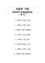 [지역사회복지론] 사회적 기업에 대해서-1