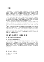 [조직행위론] 조직행위론 이론과 관련된 실제 기업 사례-2