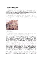 산업혁명의 배경에 대해서-1