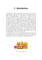 [소비자행동론] 비타500 분석-4
