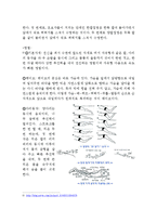 [A+자료] 수영의 역사와 영법에 대해서-5
